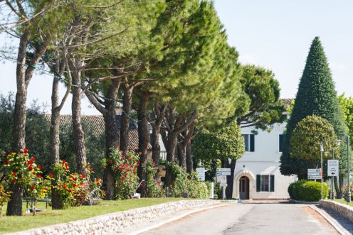 A street with trees and flowers on the side of it.